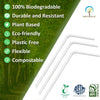 Naturalik 250 Pack Biodegradable Plant Based Straws- 9" Long Straws- 100% Compostable