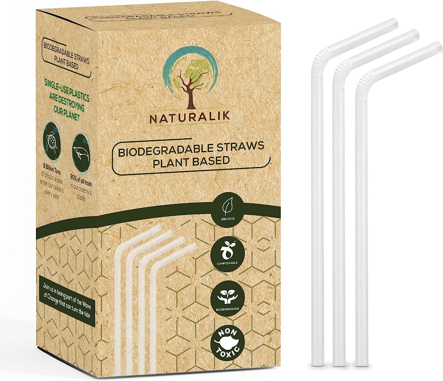 Biodegradable Straws (50 pack) - 100% Natural Compostable Eco Friendly -  Clean Water Mill